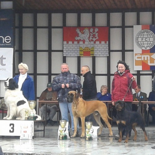 5.místo FCI2_MVPLitoměřice_2013