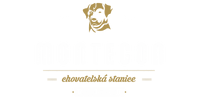 logo-montecon-big-chs (2)